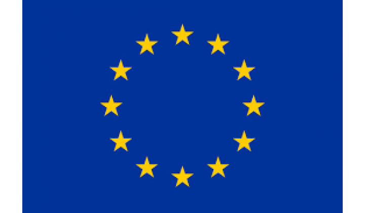 Zápinsica pre voľby EuP 2024